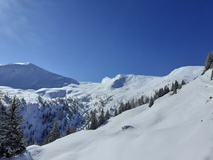 Foto från Josef Rauchenzauner under resans gång