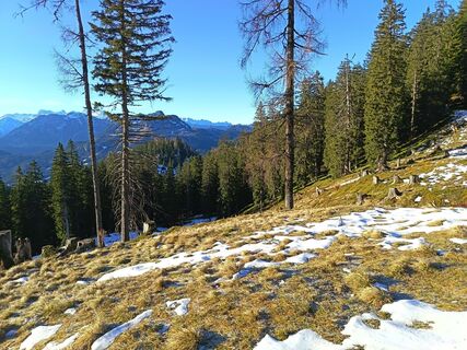 Zdjęcie z Róbert Balogh wzdłuż trasy