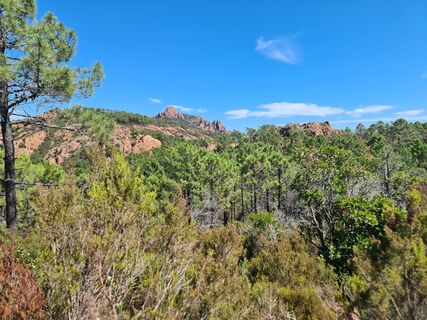 Foto de W B MA a lo largo del recorrido