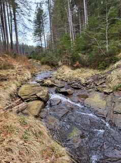 Fotografia z Igor napast na trase