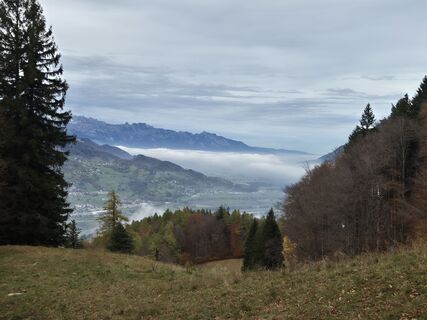 Fotografija s spletne strani alinradu na poti