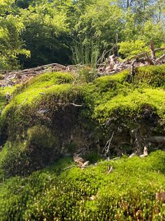 Foto fra Patrik Trosdorff undervejs på turen