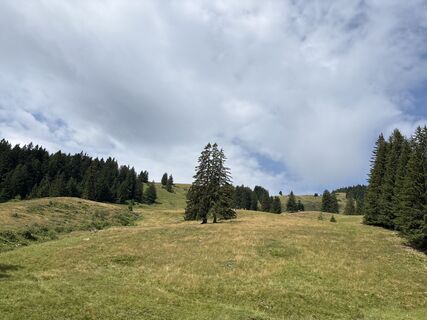 Foto von Heinz Sperl entlang der Tour