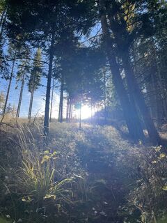 Photo de Erwin01 le long du parcours