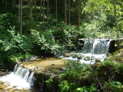 Leisnitzbach