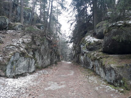 Katzenkerbe