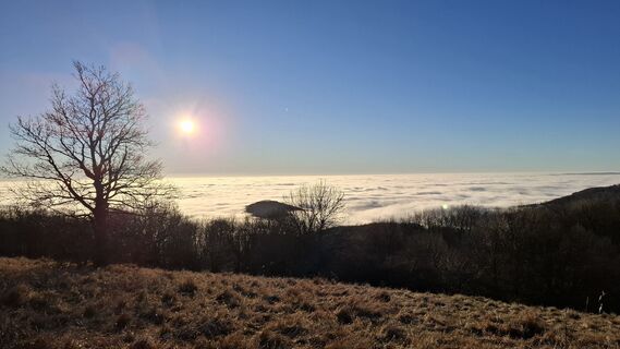Fotografie z Márti na trase