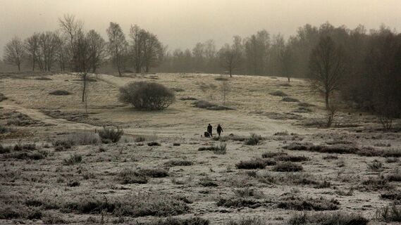 Die Trupbacher Heide in Winterstimmung