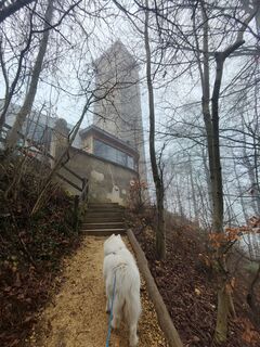Photo de Sonja Herdeg le long du parcours