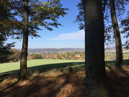 Blick auf Schloss Wendlinghausen CC BY-SA - LTM.JPG