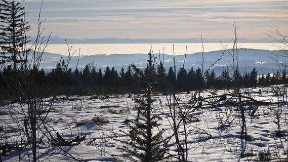 Photo de prager64 le long du parcours