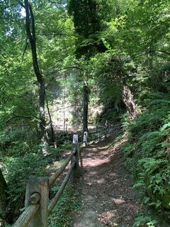 Fotografia z Koen De Wit na trase