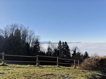 Foto von Xenia Lange entlang der Tour