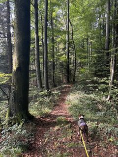 Fotografie z BiVo na trase