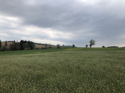 Zemljevid