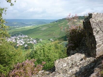Felsen mit Blick auf Veldenz