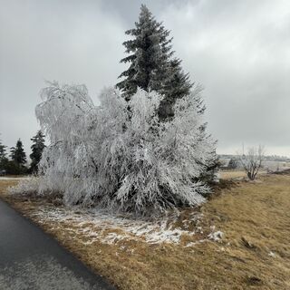 Fotografia z Steffen Kiesel na trase