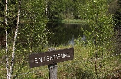 Entenüpfuhl