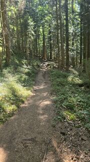 Foto von Jens Felsecker entlang der Tour