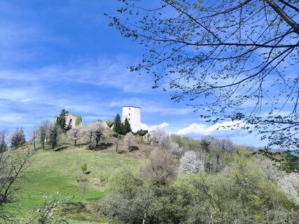 Photo de Katja Klemenčič le long du parcours