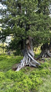 Fotografija s spletne strani Richard Dietze na poti