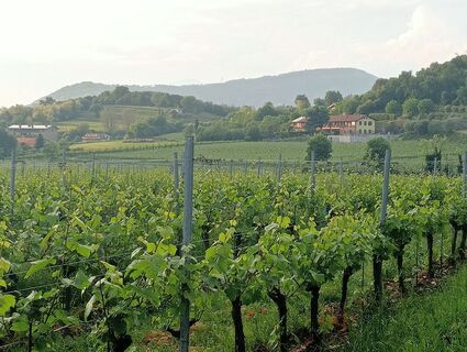 Fotografija s spletne strani simone ravasi na poti