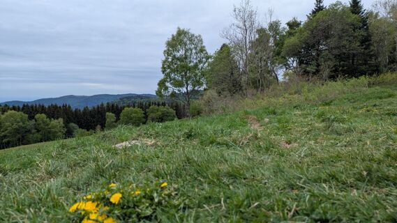 Photo de Richard Schwald le long du parcours