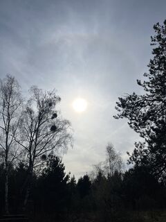 Zdjęcie z Redstone wzdłuż trasy