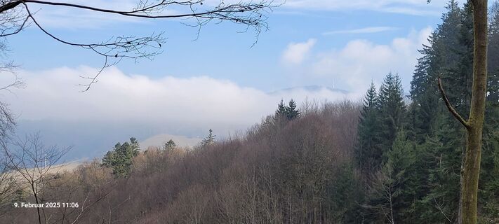 Foto da bubbiebaerli lungo il tour