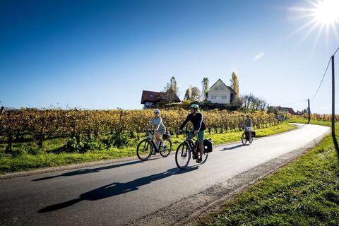 Radfahren in der Südsteiermark