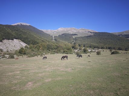 Fotografia z marco conte na trase