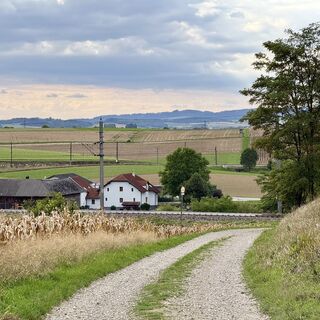 Foto de Goji Šarić a lo largo del recorrido