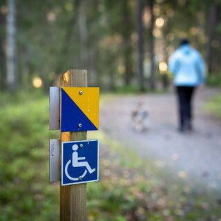 Der Weg ist bis zur ersten Schutzhütte barrierefrei