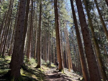 Fotografie z Sebastiaan Joustra na trase