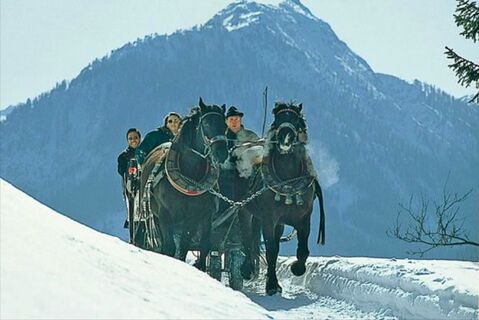 Appartements Mooslechner