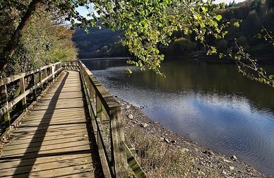 Staubecken Heimbach