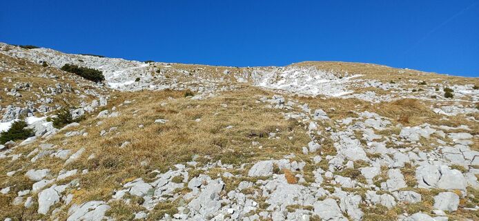 Fotografija s spletne strani Janez Perko na poti
