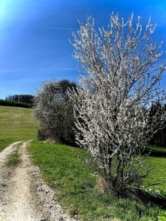 Fotografie z Kellner Heidi na trase