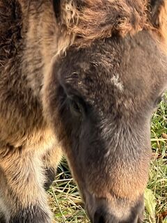 Foto von Karsten Beer entlang der Tour