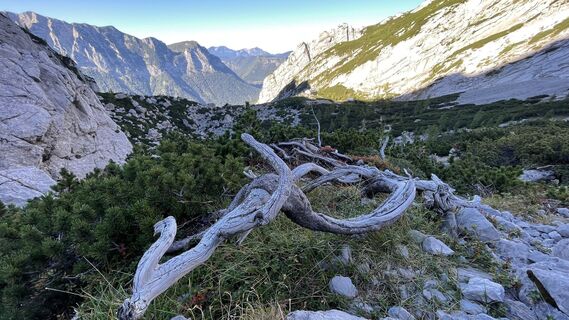 Zdjęcie z G F wzdłuż trasy