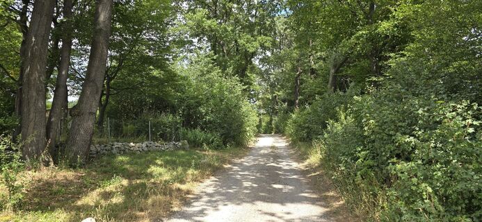 Laab im Walde