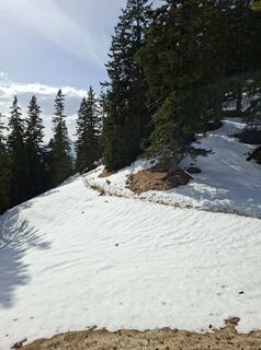 Foto von gottie entlang der Tour