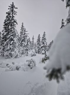 Fotografija s spletne strani Eva Steffner na poti