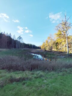 Photo de Klaus-Maus le long du parcours