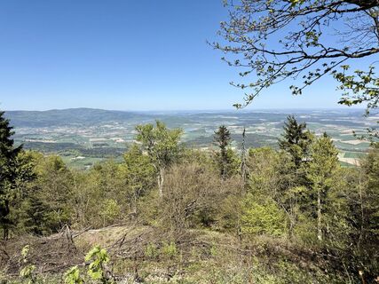 Photo de Norbert Herbig le long du parcours