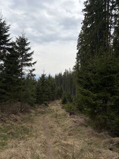 Fotografia z Mandy Friedrich na trase