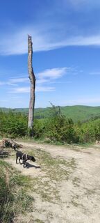 Fotografie z adamwien na trase