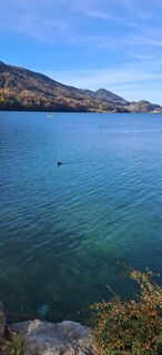 Foto von Buchegger Barbara entlang der Tour