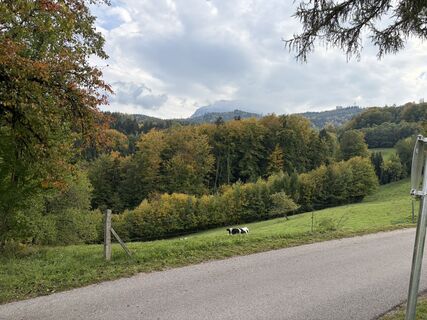 Photo de Martin Sicher le long du parcours