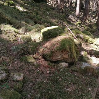 Wald- und Wiesenweg Rudolf Greinz Weg